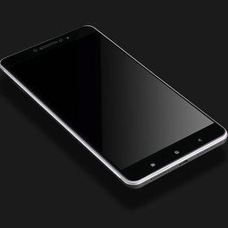 Защитное стекло для Xiaomi Mi Max 2 (черное)